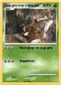 loup gris trop
