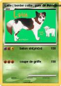 Latte ( border collie , pote de Latte ( border