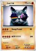 Cool Cat