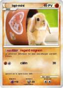 lapi-mini lapi-mini