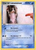 Chat 007