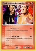 TheBrothersOfDestruction