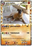 gros toutou
