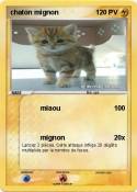 chaton mignon
