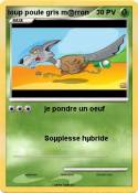 loup poule gris