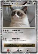 Grumpy Cat