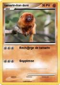 tamarin-lion