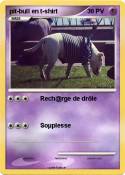 pit-bull en
