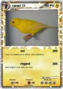 canari 13