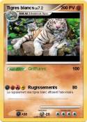 Tigres blancs