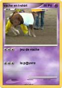 vache en