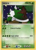 torterra