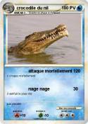 crocodile du