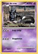 berger de crau berger de crau
