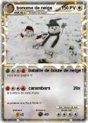 bonome de neige