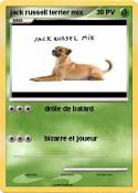 jack russell