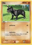 dog 