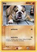 dog