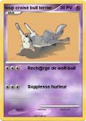 loup croisé
