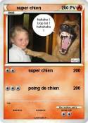 super chien