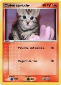 Chaton a