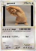 gymnacat 1