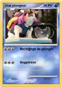 chat plongeur