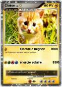 Chaton