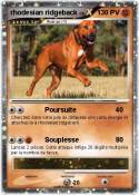 rhodesian