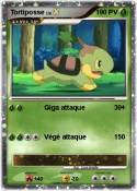Tortiposse Tortiposse