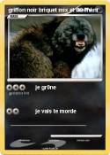 griffon noir briquet mix et mechant griffon noir