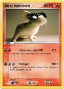 bond, lapin