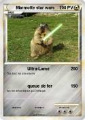 Marmotte star