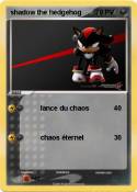 shadow the