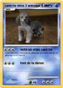 caniche sims 3