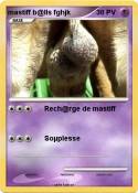 mastiff b@lls