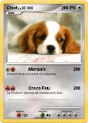 Chiot