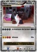 hyper cachoux