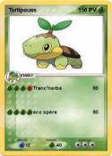 Tortipouss