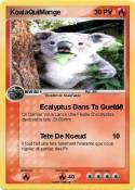 KoalaQuiMange
