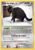 Chat de neige