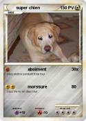 super chien