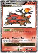 Torterra Feu