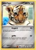 bébéTigre