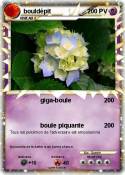bouldépit bouldépit