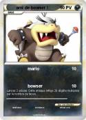 ami de bowser !