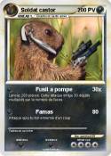 Soldat castor