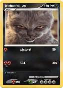 le chat fou