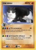 chat minou