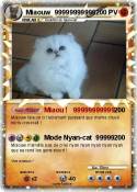 Miaouw
